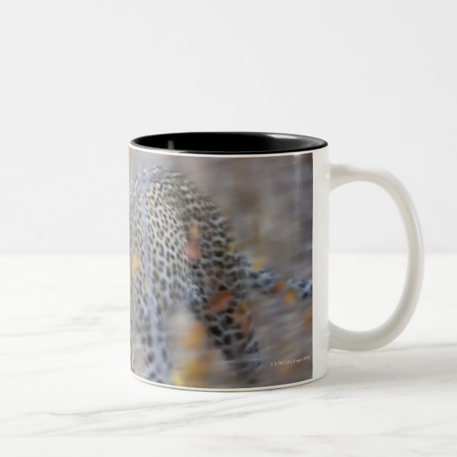 Tasse 2 Couleurs mouvement brouillé (Droit)