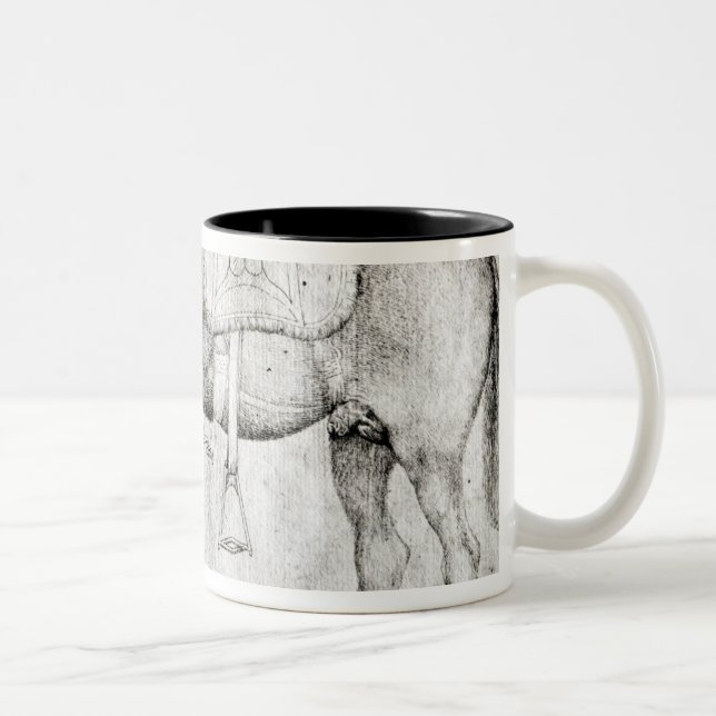 Tasse 2 Couleurs Mule, de l'album de Vallardi (Droit)