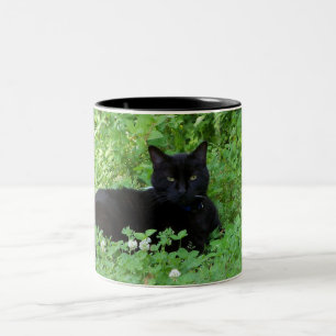 Tasse 2 Couleurs Musique de chat noir
