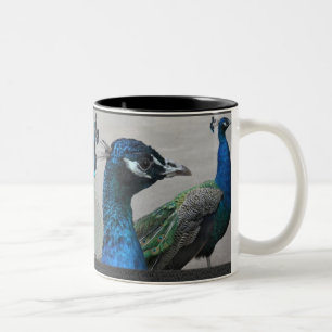 Tasse 2 Couleurs Musique de paon
