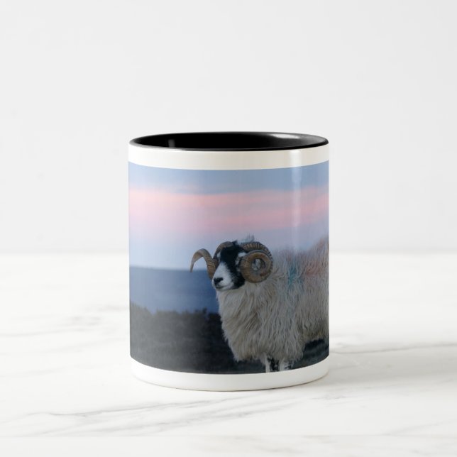 Tasse 2 Couleurs Musique des moutons (Centre)