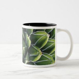 Tasse 2 Couleurs N.A., États-Unis, Arizona, Tucson, désert de Sonor