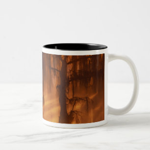 Tasse 2 Couleurs N.A., États-Unis, Géorgie, George Smith State Park