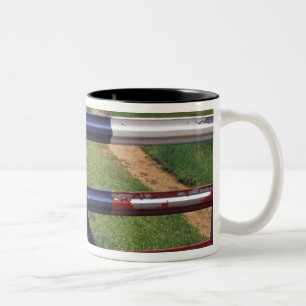 Tasse 2 Couleurs N.A., États-Unis, Texas, lac Buchanan, drapeau du