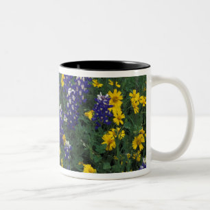 Tasse 2 Couleurs N.A, États-Unis, Texas, Marble Falls, Bleus Bonnet
