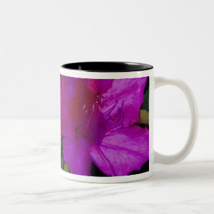 Tasse 2 Couleurs N.A. USA, Géorgie, Savannah. Azalée en fleurs.