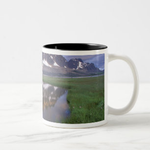 Tasse 2 Couleurs NA, Canada, Alberta, vallée de Tonoquin. Jasper