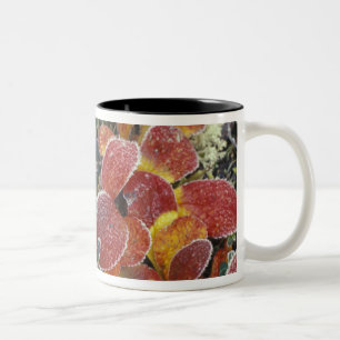 Tasse 2 Couleurs NA, États-Unis, Alaska. Parc national de Denali. A
