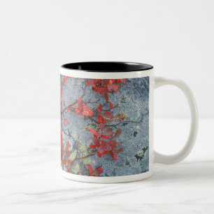Tasse 2 Couleurs NA, États-Unis, Alaska, Parc national Denali, Baie