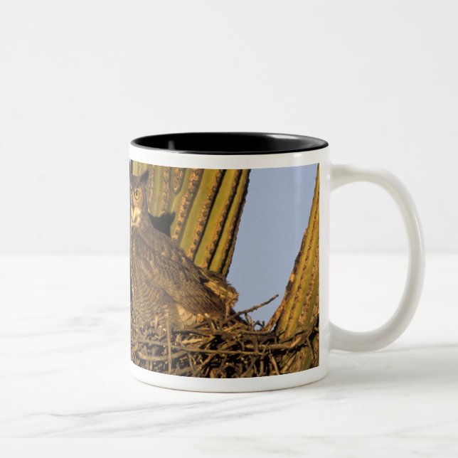 Tasse 2 Couleurs NA, États-Unis, Arizona, Tucson. Grand-duc d'Améri (Droit)