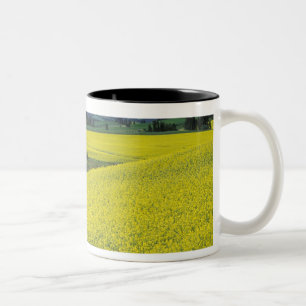 Tasse 2 Couleurs NA, États-Unis, Idaho, près de Potlatch, Grange en