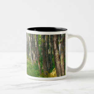 Tasse 2 Couleurs NA, États-Unis, Maine. Sentier Jessup à Acadia Na
