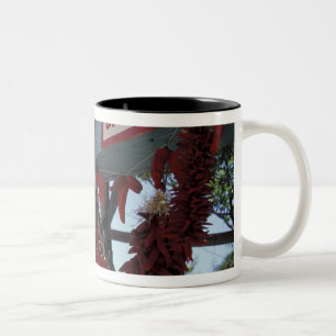 Tasse 2 Couleurs NA, États-Unis, Nouveau-Mexique, Santa Fe.
