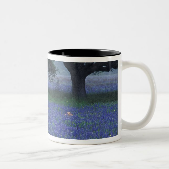 Tasse 2 Couleurs NA, Texas, Devine, Chêne et bleuets (Droit)