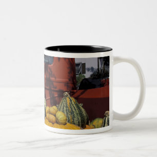 Tasse 2 Couleurs NA, USA, Nouveau Mexique, Taos. Le Chili se tient