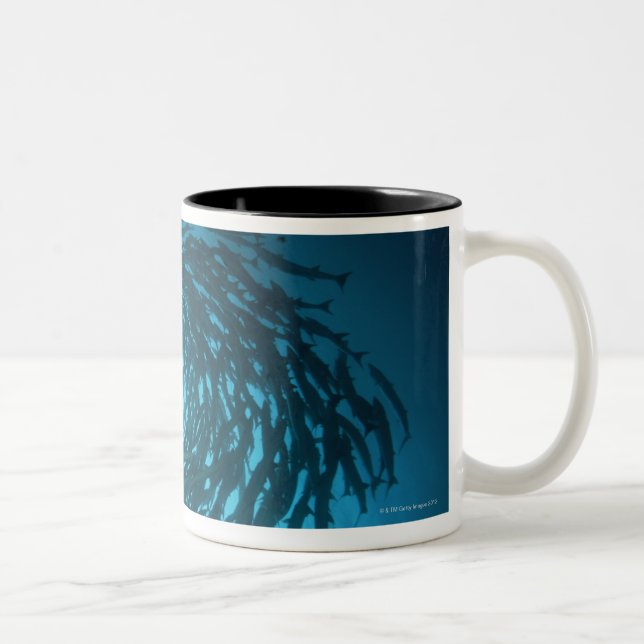 Tasse 2 Couleurs Natation de barracuda de Blackfin en cercles (Droit)