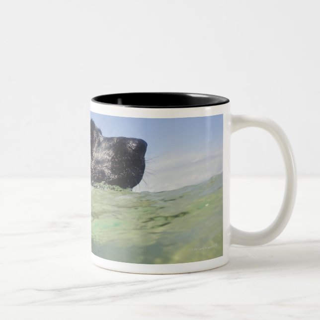 Tasse 2 Couleurs Natation de chien dans l'eau (Droit)
