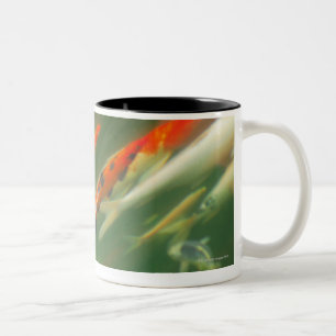 Tasse 2 Couleurs Natation de poissons de carpe de Koi dans un étan