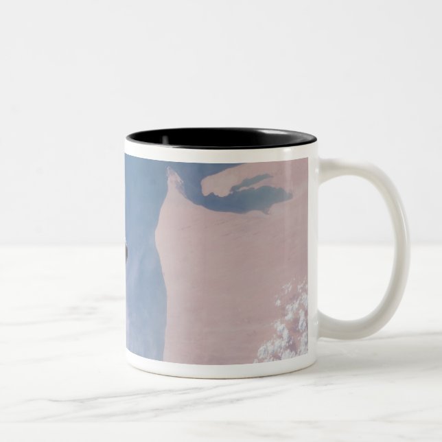Tasse 2 Couleurs Navette spatiale Endeavor 19 (Droit)