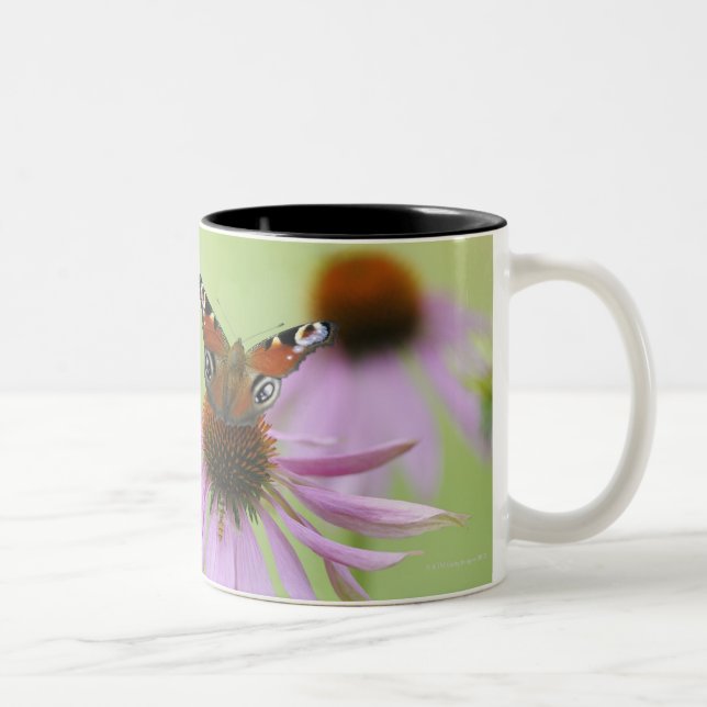 Tasse 2 Couleurs Nectar potable de papillon de paon (Inachis E/S) (Droit)