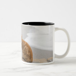 Tasse 2 Couleurs Nerja Malaga Andalousie Espagne