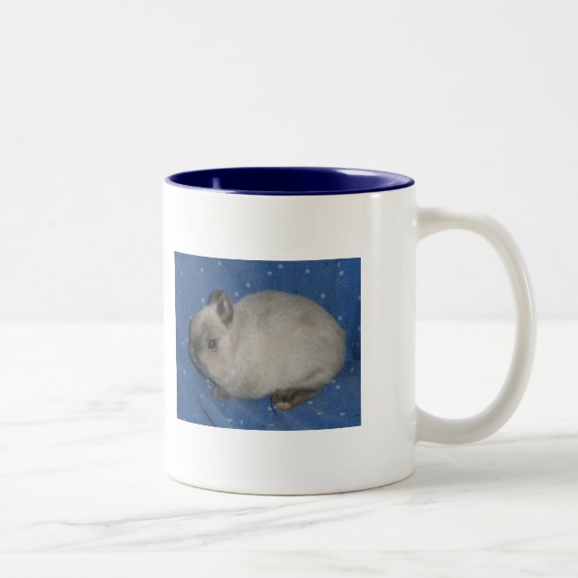 Tasse 2 Couleurs Netherland Mug2 nain (Droit)