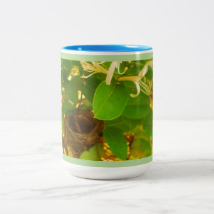 Tasse 2 Couleurs Nid de colibri