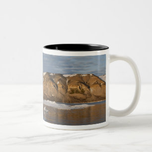 Tasse 2 Couleurs Norvège, Svalbard, île de Spitsbergen, Coucher