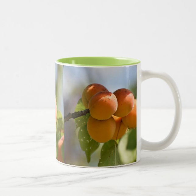 Tasse 2 Couleurs Nourriture Pêches sur l'Arbre (Droit)