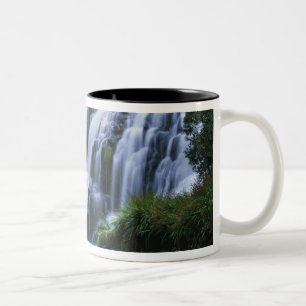 Tasse 2 Couleurs Nouvelle-Zélande, île du Nord, Karangahake Gorge,