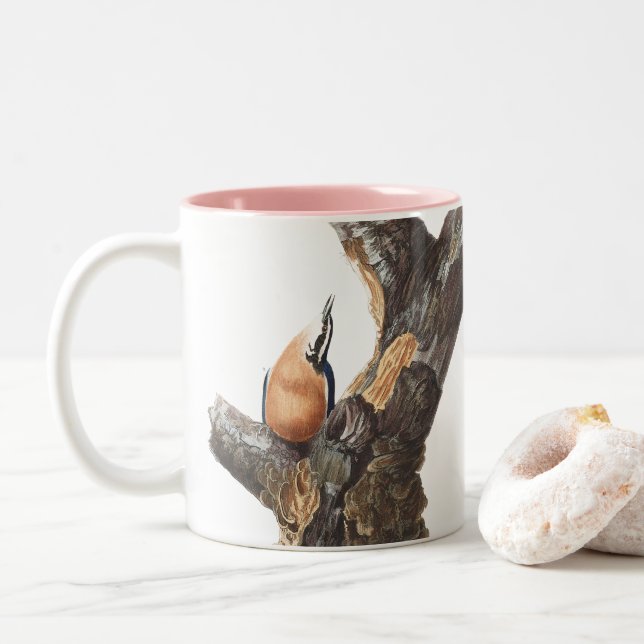 Tasse 2 Couleurs Nuthatch à poitrine rouge Audobon (Avec donut)