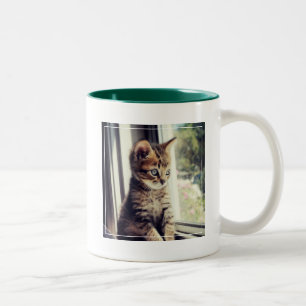 Tasse 2 Couleurs Observation tigrée de chaton