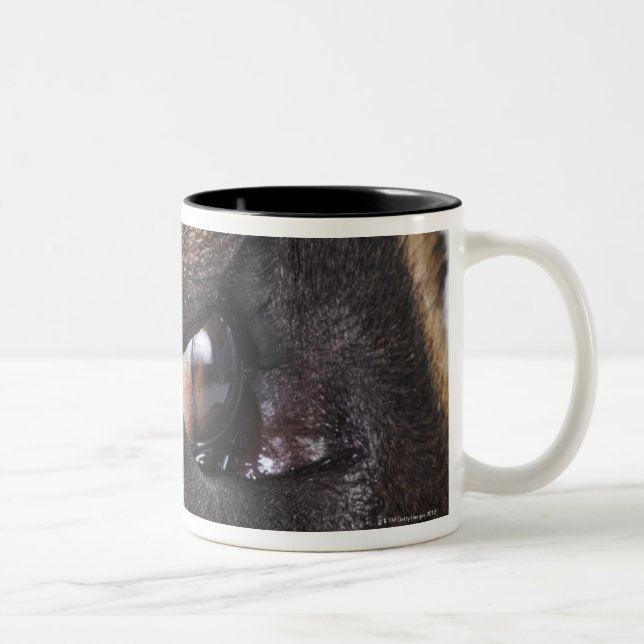 Tasse 2 Couleurs Oeil de great dane (Droit)