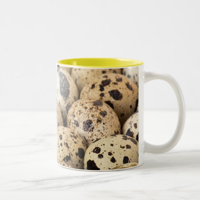 Tasse 2 Couleurs Oeufs de caille (Droit)