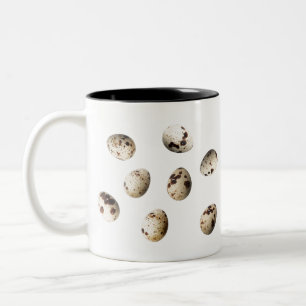 Tasse 2 Couleurs Oeufs De Quail Frais Isolés Sur Un Arrière - pla