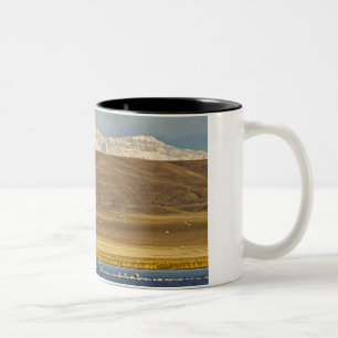 Tasse 2 Couleurs Oies des neiges pendant la migration printanière