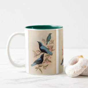 Tasse 2 Couleurs Oiseau bleu fée de Bornéo par John Gould