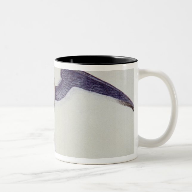 Tasse 2 Couleurs Oiseau de frégate (Droit)