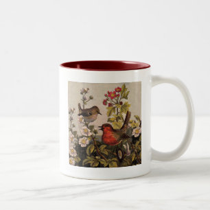 Tasse 2 Couleurs Oiseaux chanteurs Robin printanier vintage Botaniq