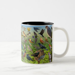 Tasse 2 Couleurs Oiseaux Jardins de l'Ouest