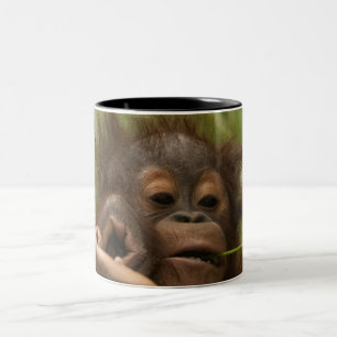 Tasse 2 Couleurs Orangutan Baby