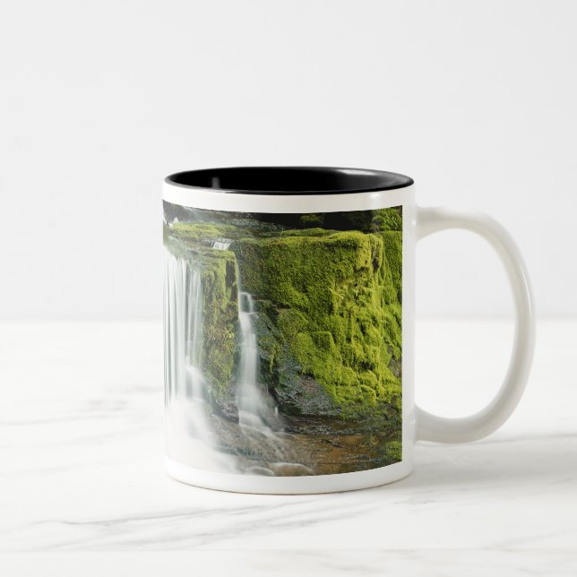 Tasse 2 Couleurs Oregon, Cascade dans le parc national Willamette (Droit)
