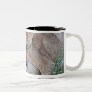 Tasse 2 Couleurs Oreille acérée de mères de petit animal de lion