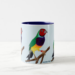 Tasse 2 Couleurs ~ original d'art de ~ de pinson de Gouldian de ~