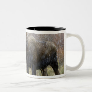 Tasse 2 Couleurs Orignal dans une tempête de neige avec des tremble