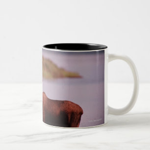 Tasse 2 Couleurs Orignaux dans le lac