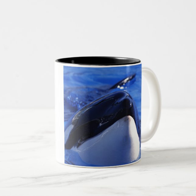 Tasse 2 Couleurs orque. Épaulard (Devant droit)