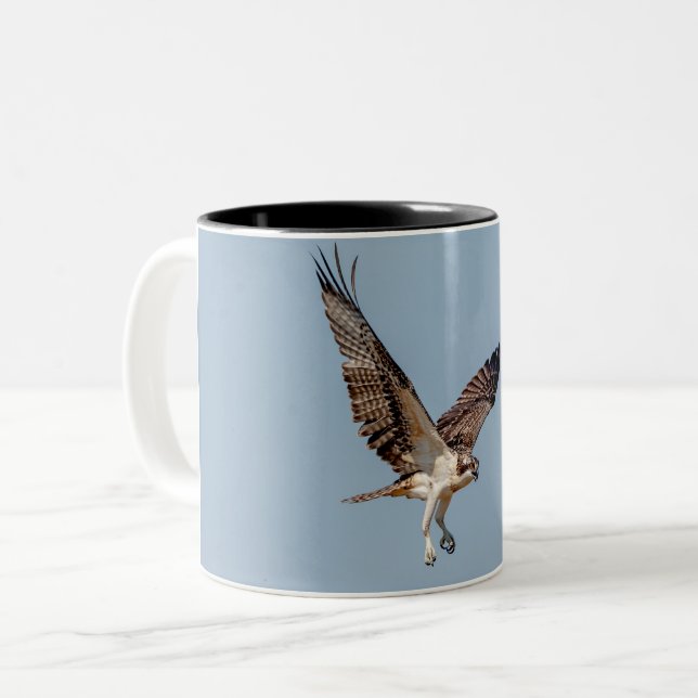 Tasse 2 Couleurs Osprey juvénile en vol (Devant gauche)