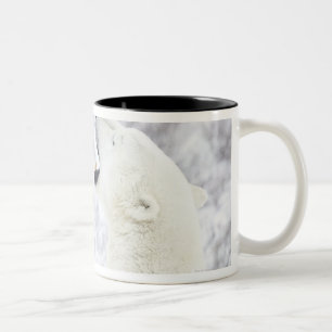 Tasse 2 Couleurs Ours blancs jouant dans la neige