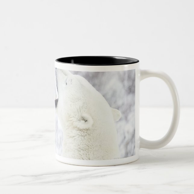 Tasse 2 Couleurs Ours blancs jouant dans la neige (Droit)